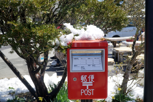 雪が積もったポスト