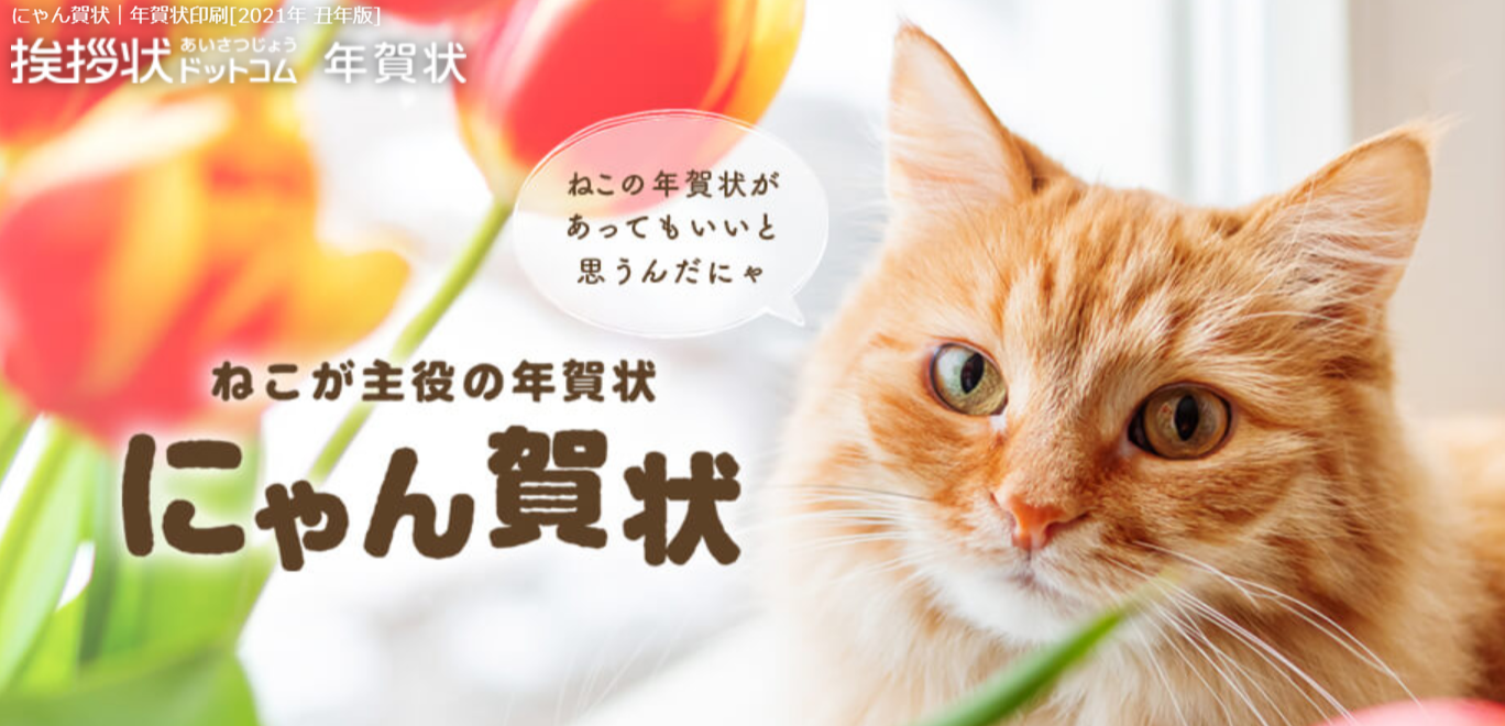 猫好き必見 21猫デザイン年賀状を注文できるサイトはここ くらしのいいもの研究所