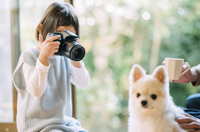 犬を撮影する