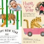 2022年しまうま組写真 (1)