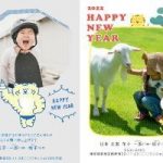 2022しまうま組写真別パターン (1)
