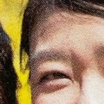 しまうま８倍拡大